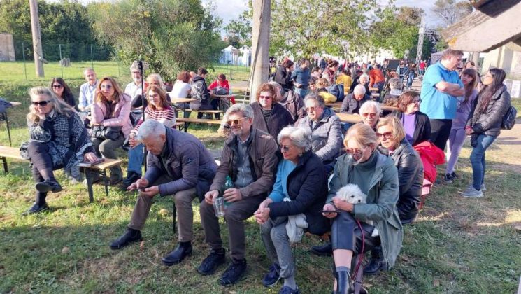 finchehocartuccesparo