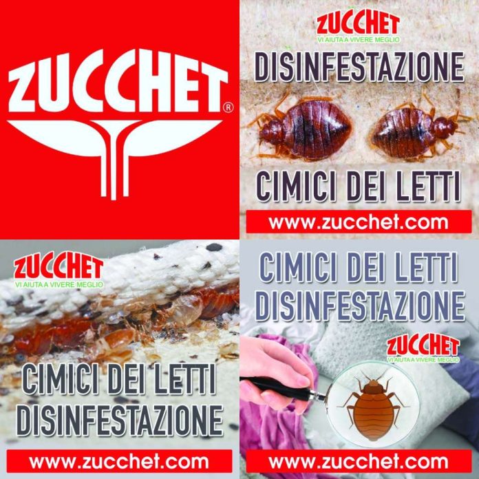 disinfestazionecimici