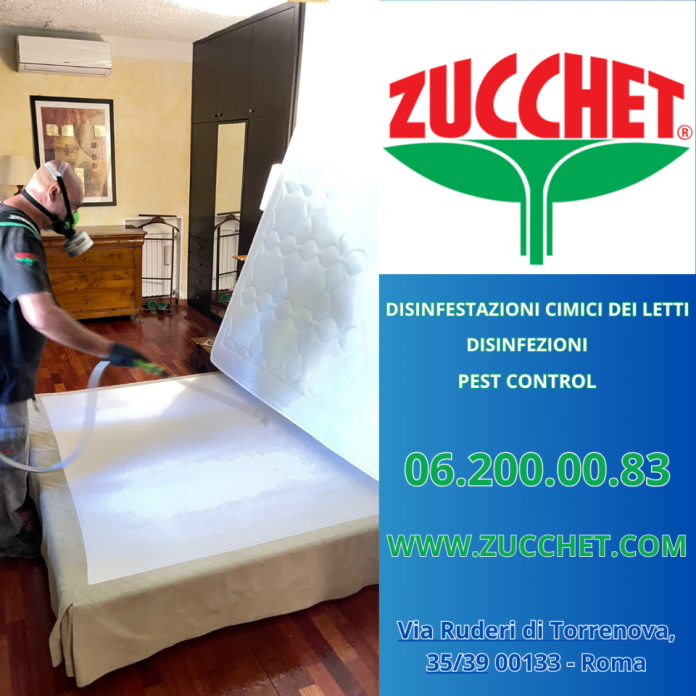 disinfestazionecimici