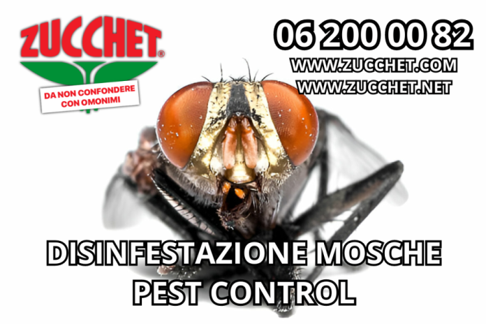 disinfestazionemosche