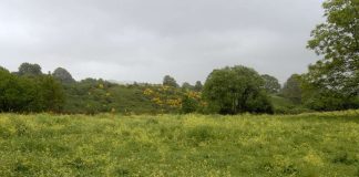 Arrivano le fototrappole parcocastelli