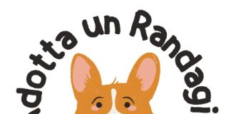 Grottaferrata assegnataria di un contributo metropolitano che incentiva le adozioni degli animali da affezione