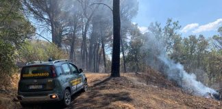 Parco Castelli Romani “Piano antincendio boschivo 2024 in vigore dal 15 giugno al 15 ottobre 2024”