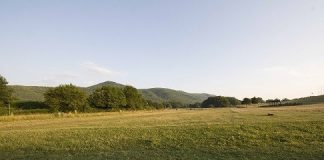 Un Parco di emozioni in una foto