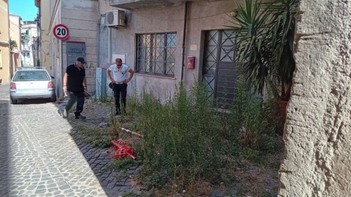 Immagine WhatsApp 2024-07-24 ore 12.56.49_3436d488