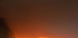 Castelli Romani, Ambrogiani(Pd): “Su incendi serve maggior controllo e prevenzione”