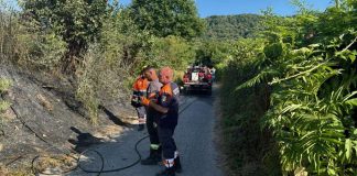 Grottaferrata, incendio in zona Tuscolo: intervento tempestivo di Protezione Civile e Polizia Locale
