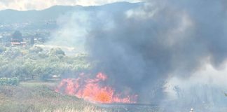 Velletri, incendio in zona Colle Rosso e Monaci