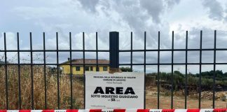 Incendio a Lanuvio, sequestrato dalla Polizia Locale un terreno e denunciato un imprenditore