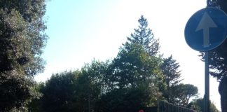 Ariccia, conclusi i lavori di allargamento di via Selvotta: nuova disciplina della circolazione stradale