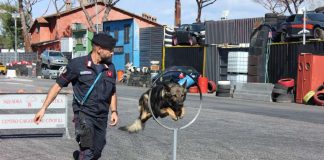 Forze Armate, Forze dell’Ordine e Campioni dello Sport insieme a Cinecittà World