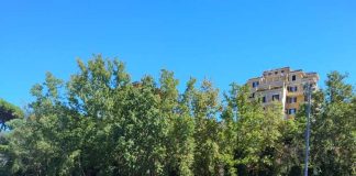 Lvpa Frascati, la Scuola calcio ha vissuto un sabato “di lusso” con le sfide alla Roma