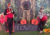 Zoomarine, Halloween speciale con un evento che aiuta i bambini a superare le paure