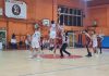 Albano Basket torna alla vittoria in Divisione Regionale 1, superato in casa Ciampino per 63 a 54