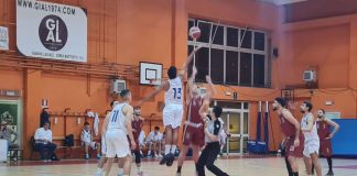 Albano Basket torna alla vittoria in Divisione Regionale 1, superato in casa Ciampino per 63 a 54