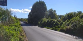 Grottaferrata, ripristinato l’asfalto su via Anagnina