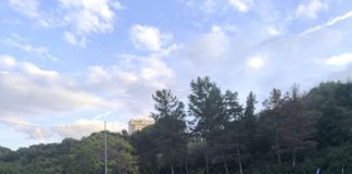 Lvpa Frascati (calcio), il “prof” Pietropaoli: “Questo club è ambizioso e può crescere ancora”