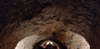 VinoInVigna, a CantinAmena puoi realizzare il sogno di fare il “tuo” vino