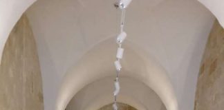 I parrucchieri Greco di Brindisi: tradizione, stile e innovazione al servizio della bellezza