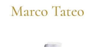 Il Natale secondo Marco Tateo: tradizione e innovazione nei panettoni artigianali e in quelli senza glutine