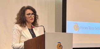 Terzo Settore, Bellucci (FDI): «Partner stabile per le Istituzioni nel terzo millennio»