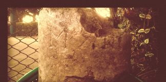 Marco Bellitto (Italia Nostra Marino) “La pietra miliare dedicata ad Augusto in Bovillae”