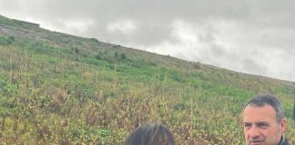 Rotondi (Fdi): “Discarica Bracciano messa in sicurezza”