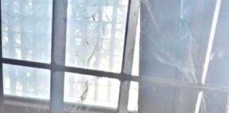 Udc “Spaccio e consumo di droga al Capolinea della Metro C Monte Compatri Pantano: una situazione intollerabile”