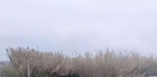 UdC Monte Compatri “Bonifica urgente delle discariche abusive, un appello all’Amministrazione”