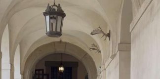 Ariccia, Giornata Internazionale della Donna: grande affluenza a Palazzo Chigi