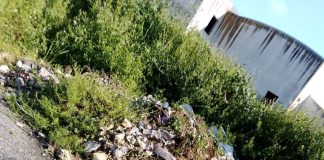 Udc Monte Compatri, Zona industriale D1 di Laghetto-Pantano: “Promesse non mantenute, degrado e insicurezza”