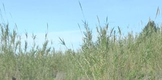 Monte Compatri, discariche abusive: “l’UdC diffida il Comune”