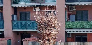 Udc Monte Compatri, “”Pezo el tacòn del buso”: la toppa peggiore del buco”