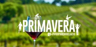 I vini del territorio del Parco dei Castelli Romani