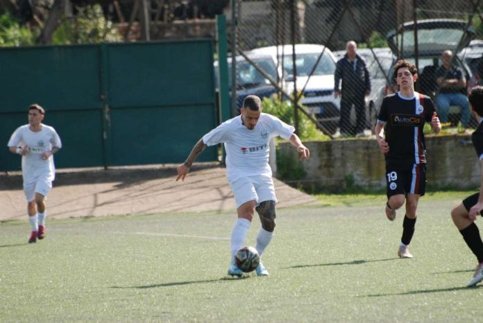 vis santa maria mole merlini