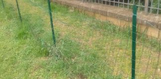 Udc Monte Compatri “Parco Comunale di Laghetto – Quando le promesse si seccano al sole, come il legno abbandonato”