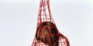 Violenza sulle donne, da Frattocchie (Marino) l’impegno della giovane Veronika: “Ho paura, ma lotto per cambiare il mondo”