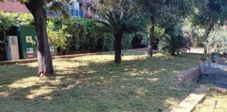 Ambiente a Ciampino, in corso interventi di manutenzione del verde