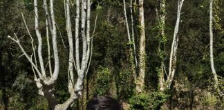 Lvpa Frascati (calcio, Under 16), Podagrosi carica: “Le prossime tre partite saranno decisive”