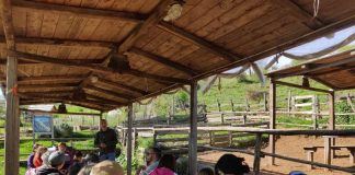 Approccio al Birdwatching, l’evento del 12 Aprile al Parco dei Castelli Romani