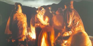 World Press Photo, per guardare davvero