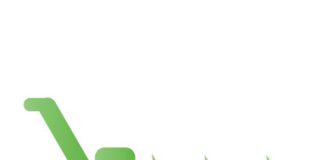 Verde Pubblico, l’Amministrazione di Frascati “Una fase di trasizione verso una gestione più efficiente e sostenibile”