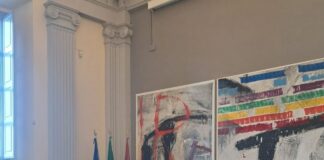 Mobilitazione a difesa del CSM Velletri Lariano