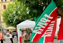 Raparelli, Crisanti e Ottaviani “A Forza Italia Marino serve una direzione”