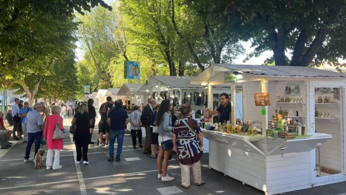 GUSTO-ITALIA-FRASCATI-2