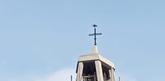 Santa Maria Mole, Ambrogiani(Pd): “No antenne su campanile chiesa: ascoltare comunità”