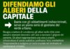 Roma, Fd’I dopo promessa dell’assessora Alfonsi a Monteverde continuano abbattimenti tra nidi