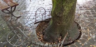 Udc Monte Compatri, “Altro che restyling: qui servono manutenzione, rispetto e serietà”