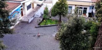 Udc Monte Compatri segnala “un grave cedimento strutturale della pavimentazione nella discesa antistante la segreteria della Scuola Elementare”