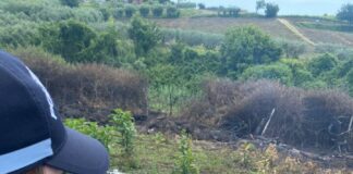Lanuvio, la Polizia Locale sequestra due terreni per roghi illeciti e un manufatto abusivo in zona agricola